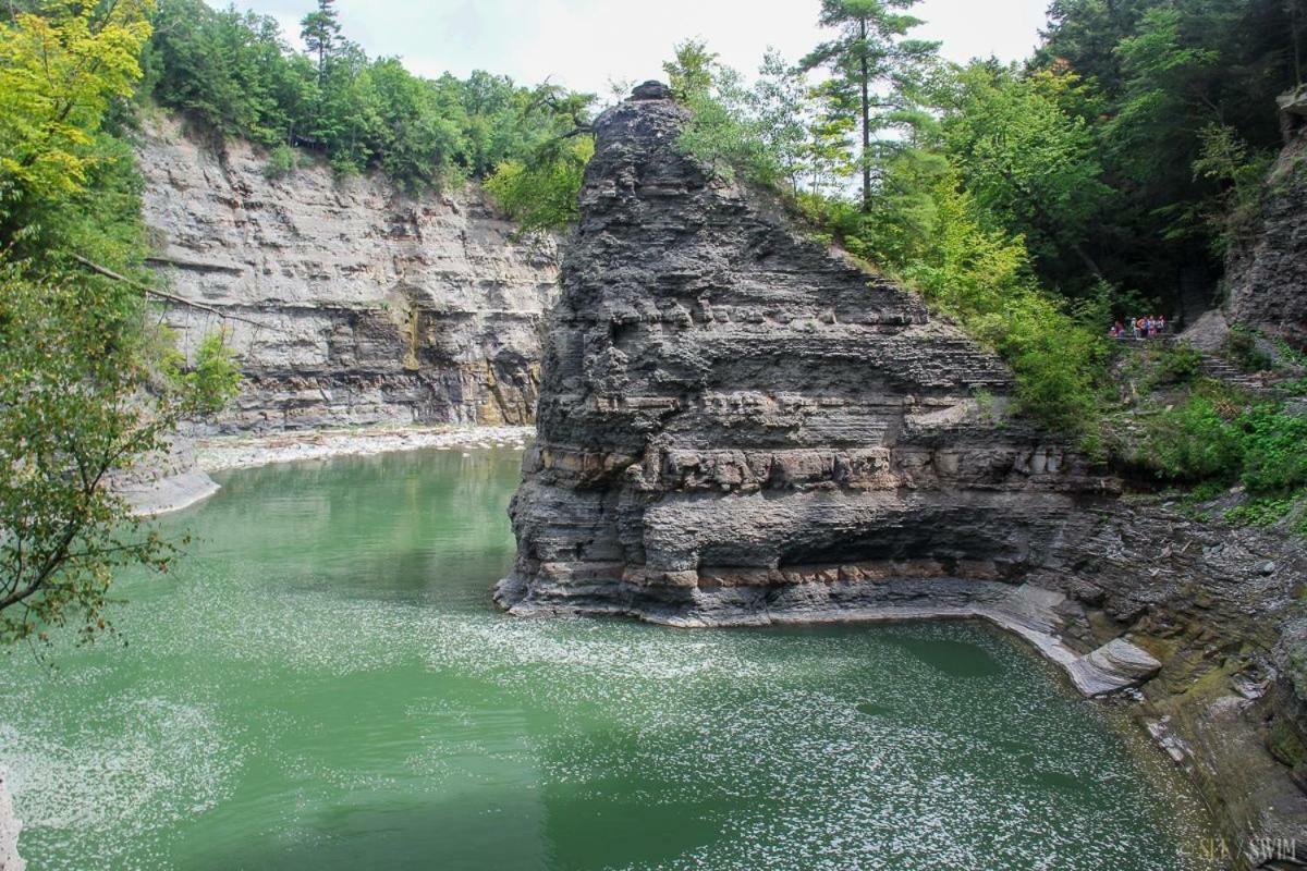 Отель Letchworth Farm Nunda Экстерьер фото