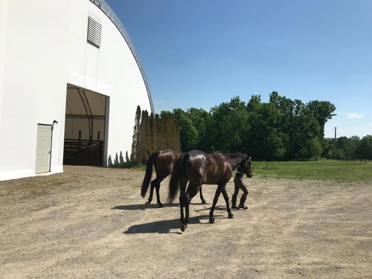 Отель Letchworth Farm Nunda Экстерьер фото